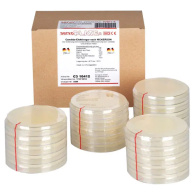 Sabouraud 2% Glucose Agar    4x5 Platten